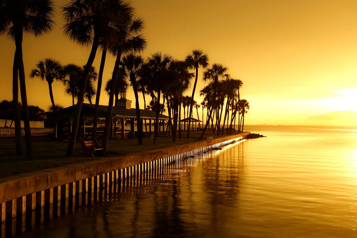 Palmeras y un muelle reflejados en el agua al atardecer