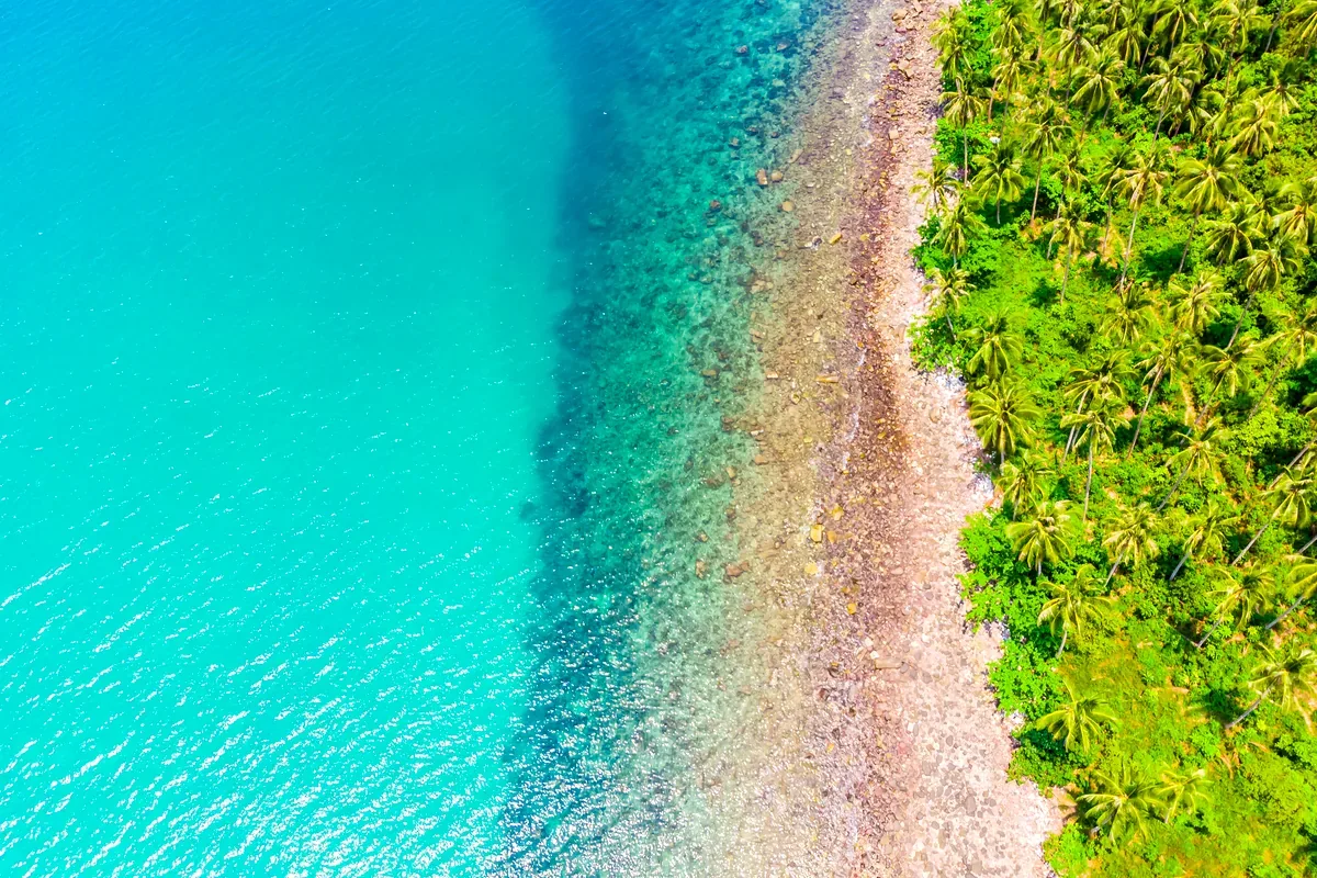 Franja de playa entre un mar turquesa y la selva, vista desde el aire