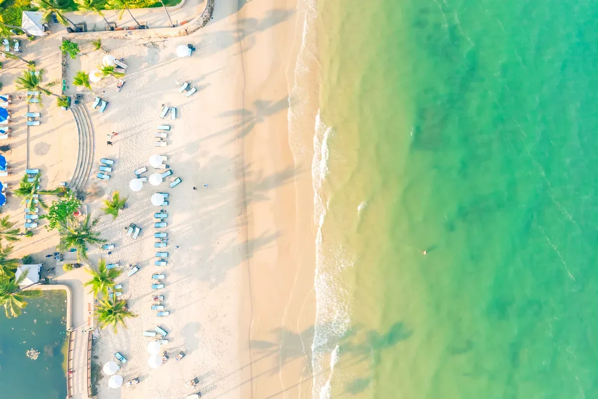 Vista aérea de una playa de arena con palmeras, camastros y mar verde