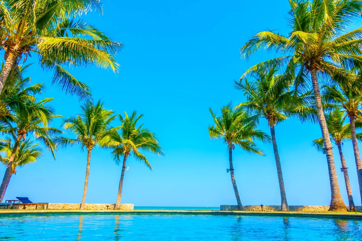 Alberca infinita bordeada de palmeras frente al mar bajo un cielo azul