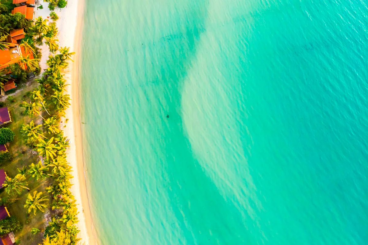 En Playa del Carmen, Coralina es tu lugar: guía completa 2026 En Playa del Carmen, Coralina es tu lugar: guía completa 2026