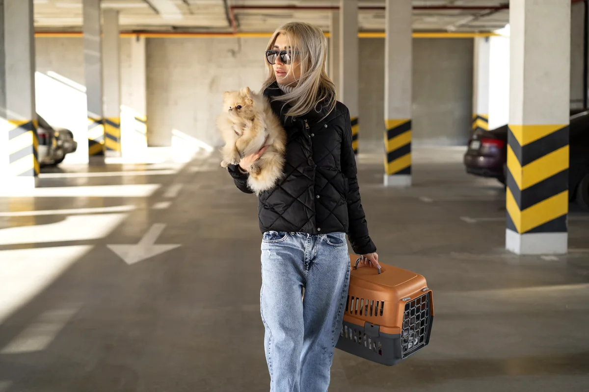 Lo que debes saber antes de viajar con tu mascota en México Lo que debes saber antes de viajar con tu mascota en México