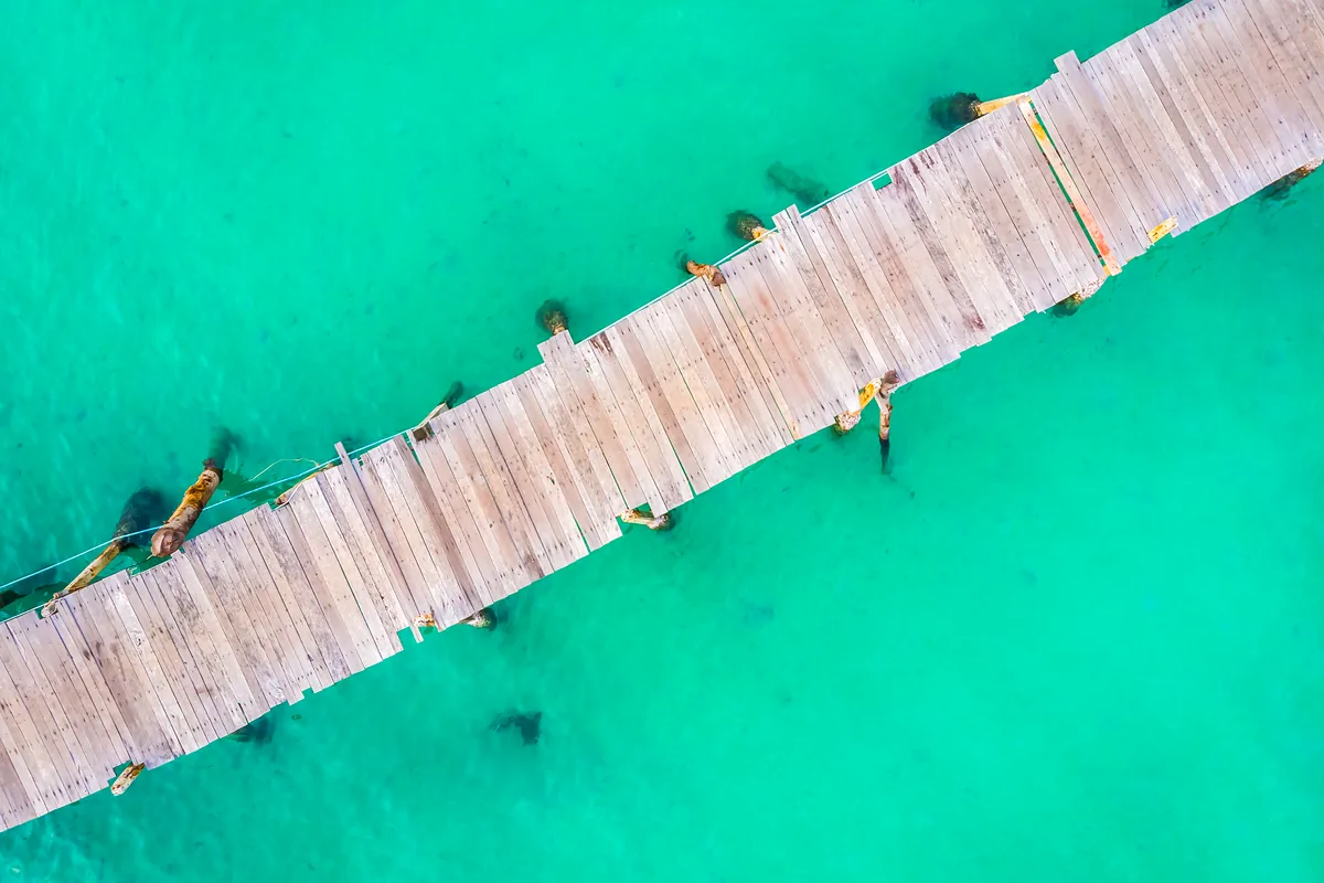 Puerto Vallarta tiene todo para que disfrutes: guía práctica 2026 Puerto Vallarta tiene todo para que disfrutes: guía práctica 2026