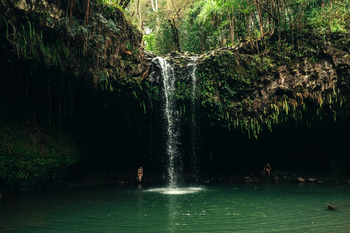 Cenotes cerca de Tulum 2026: cuáles visitar, precios y cómo llegar Cenotes cerca de Tulum 2026: cuáles visitar, precios y cómo llegar