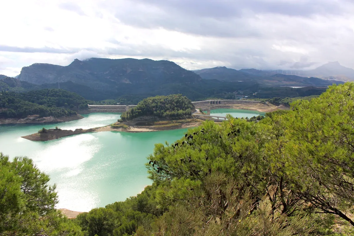 Lago de aguas verdes entre montañas y bosque