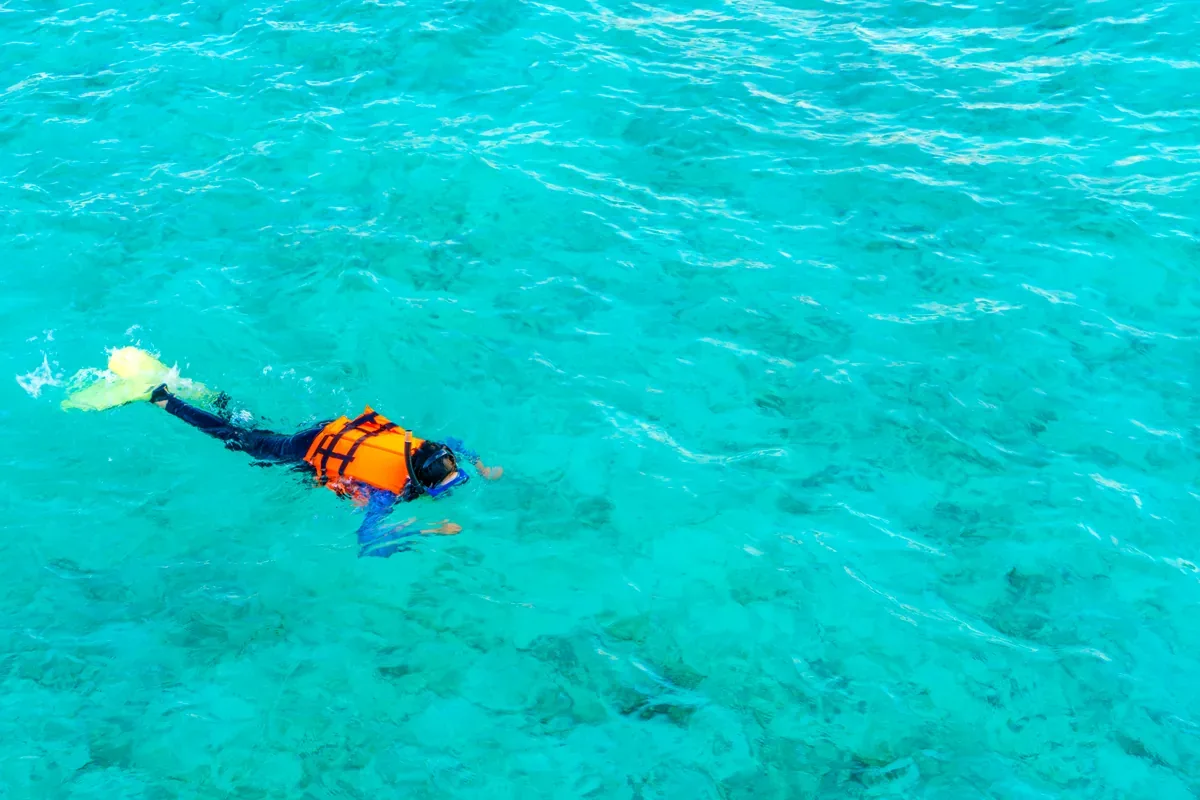 Nadador con chaleco naranja que hace esnórquel en un mar turquesa