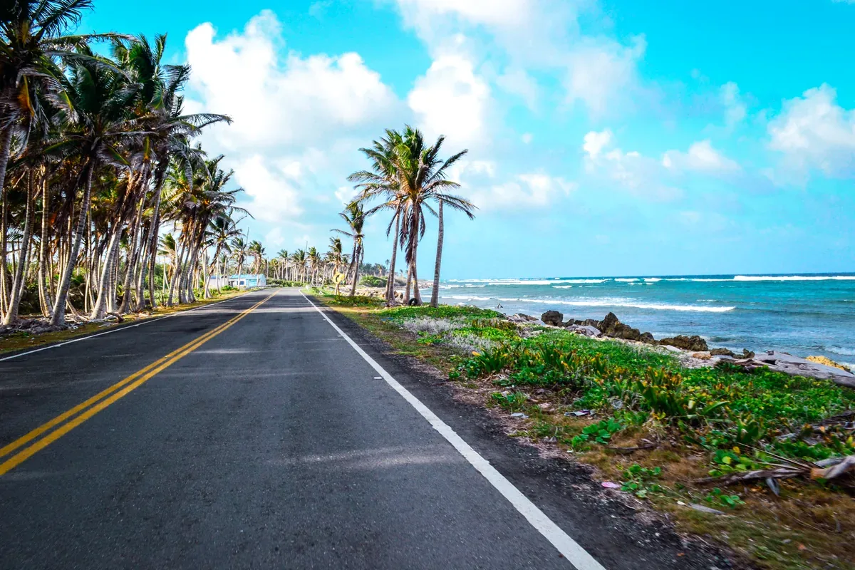 Carretera costera con palmeras junto al mar