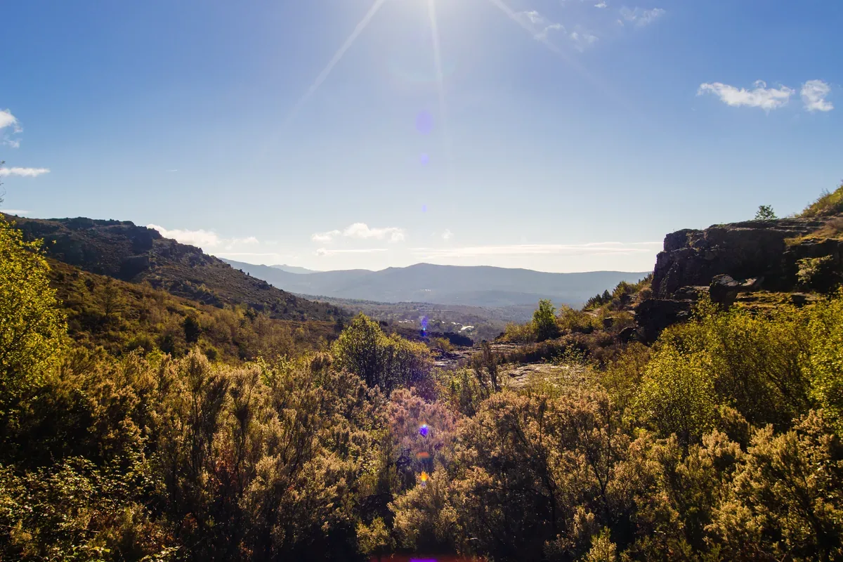 Vista desde un sendero de montaña con vegetación y cerros al fondo en un día soleado