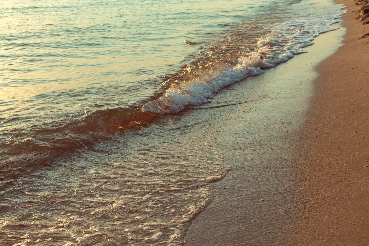 Ola suave que llega a la arena de una playa al atardecer