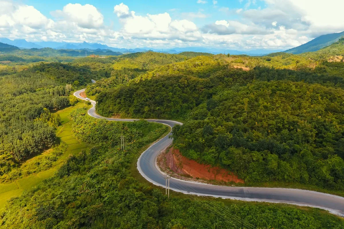 Carretera que serpentea entre cerros cubiertos de selva
