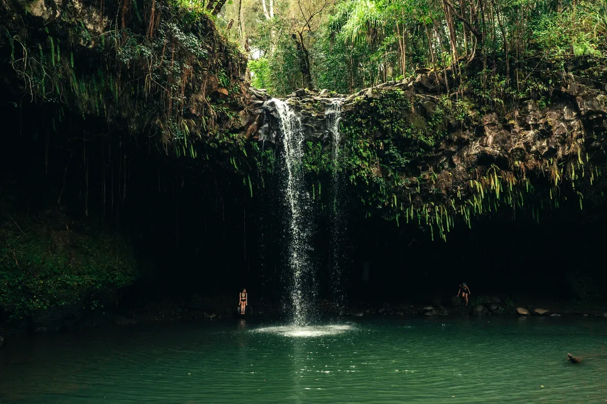 Cascada en una poza oscura rodeada de vegetación