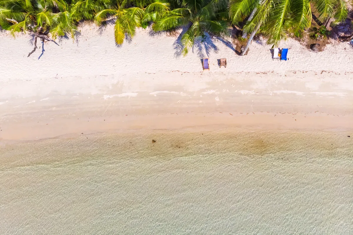 Playa de arena blanca con palmeras y camastros, vista desde el aire