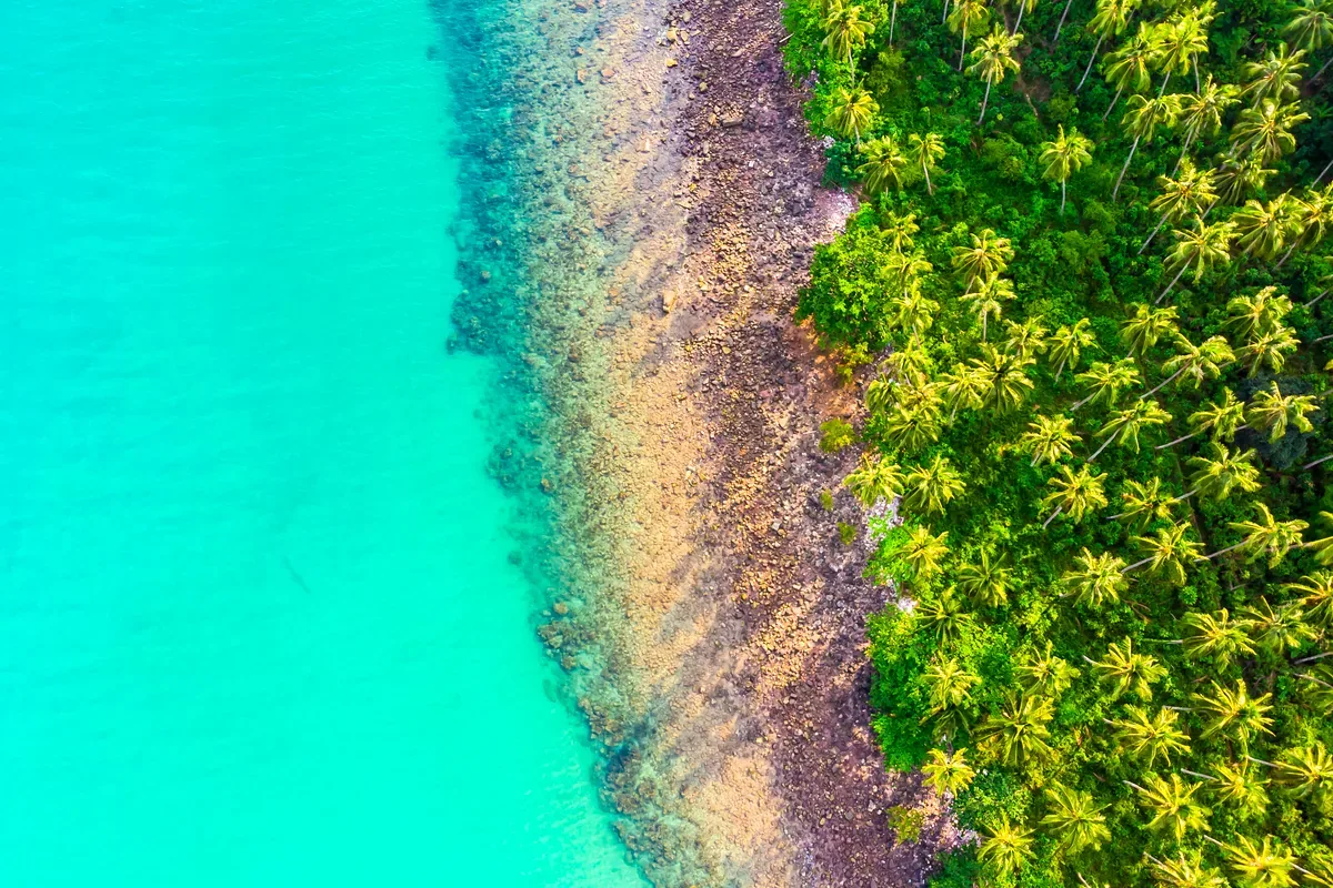 Costa de palmeras junto a un mar turquesa con arrecife, vista desde arriba
