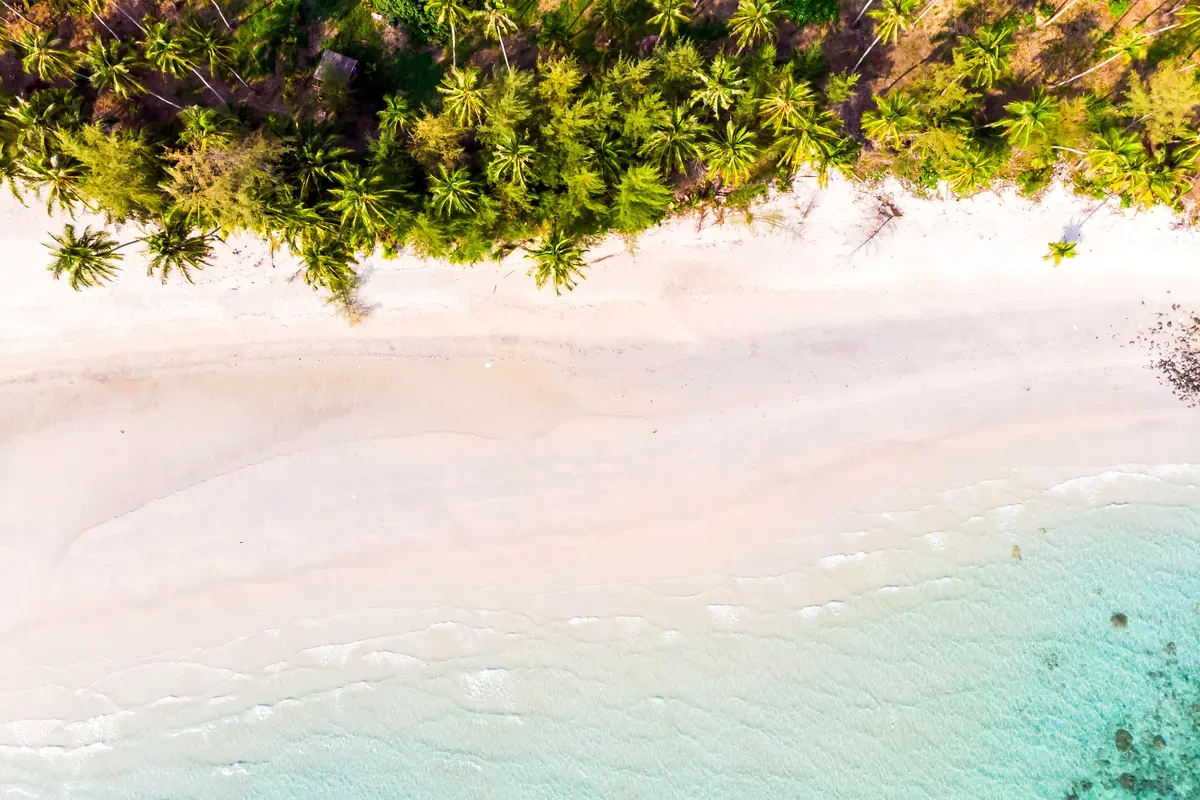 Playa de arena blanca bordeada de palmeras, vista desde el aire