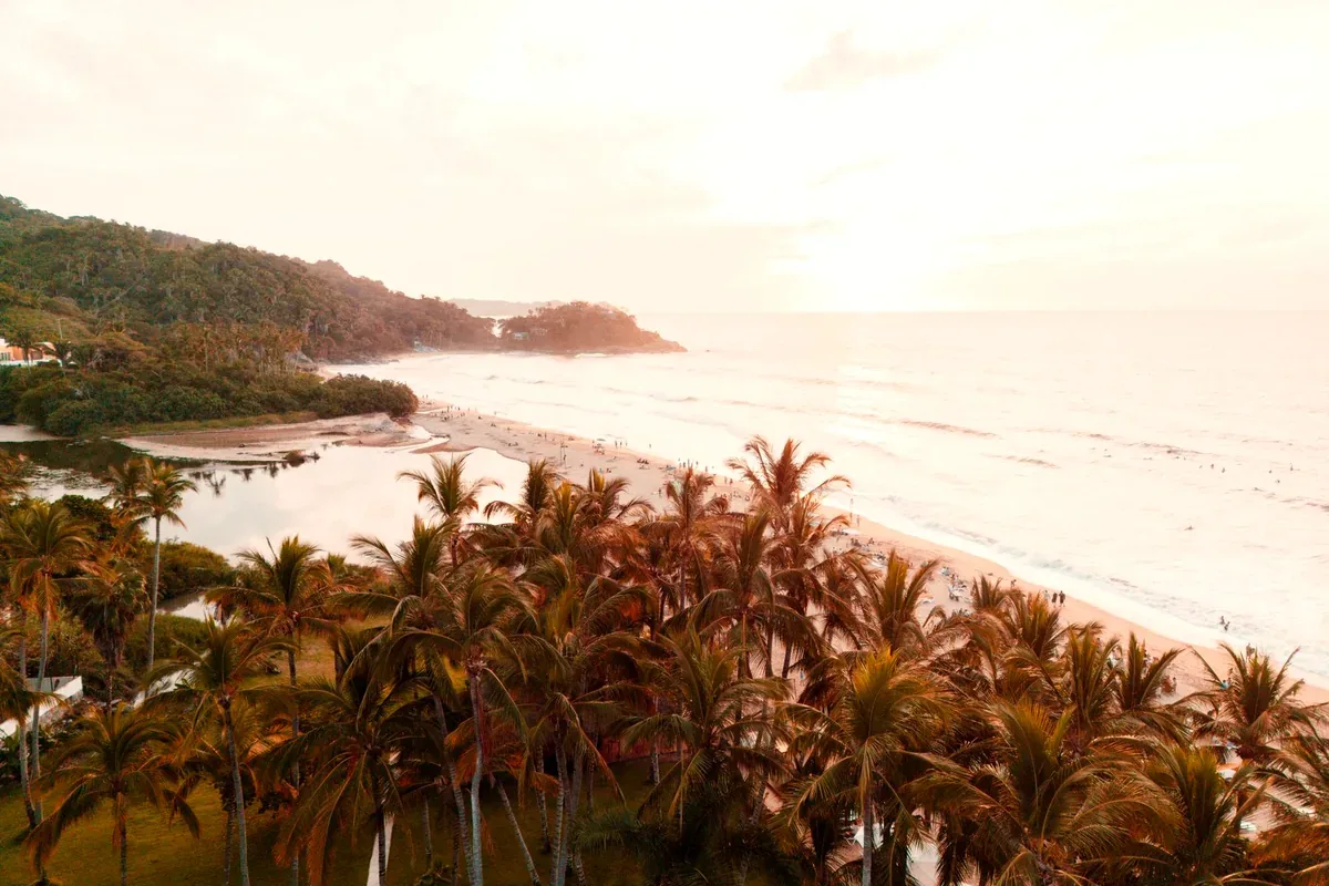 Vista desde lo alto de una playa larga bordeada de palmeras al atardecer