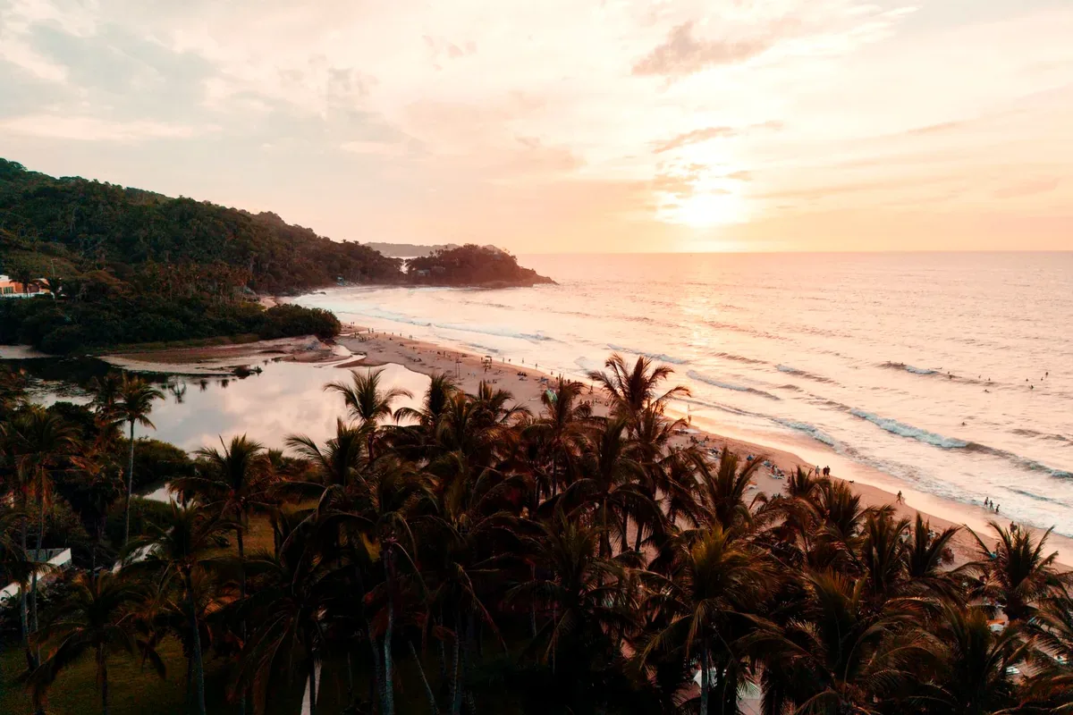 Playa extensa con palmeras y cerros al fondo en una luz rosada