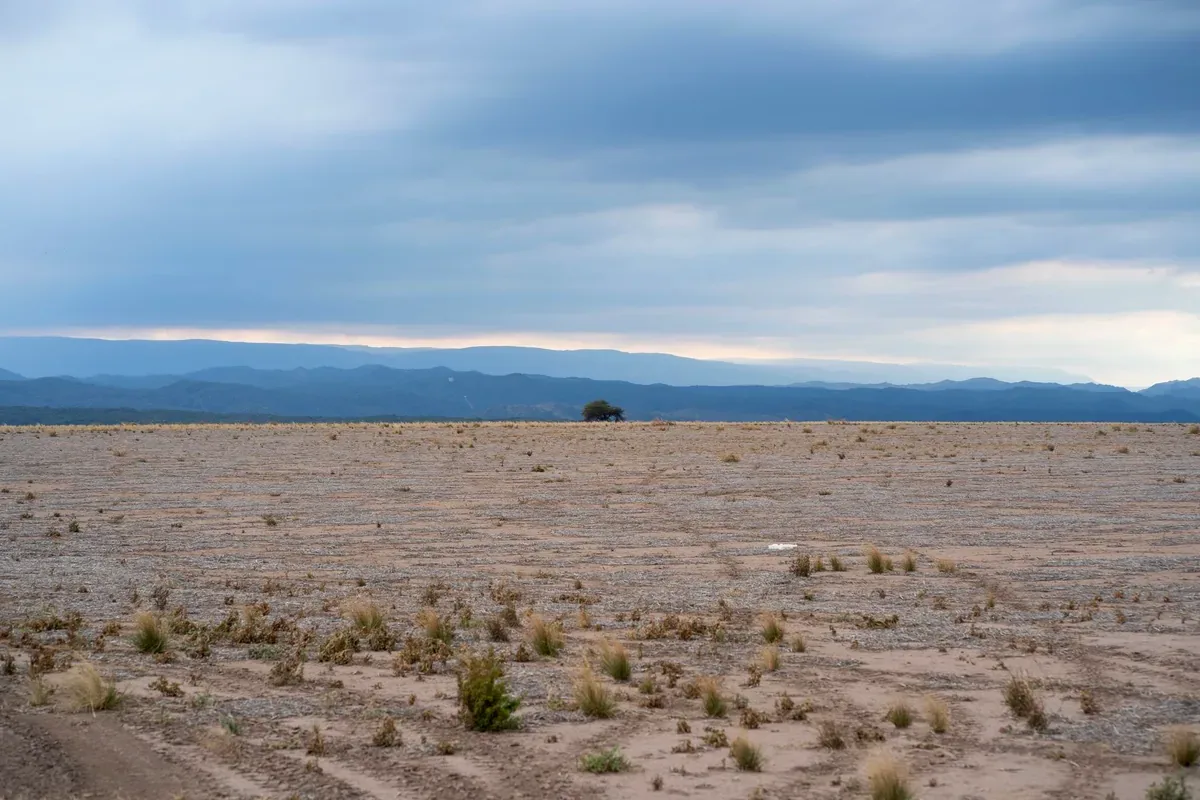 Llanura árida con matorrales bajo un cielo nublado