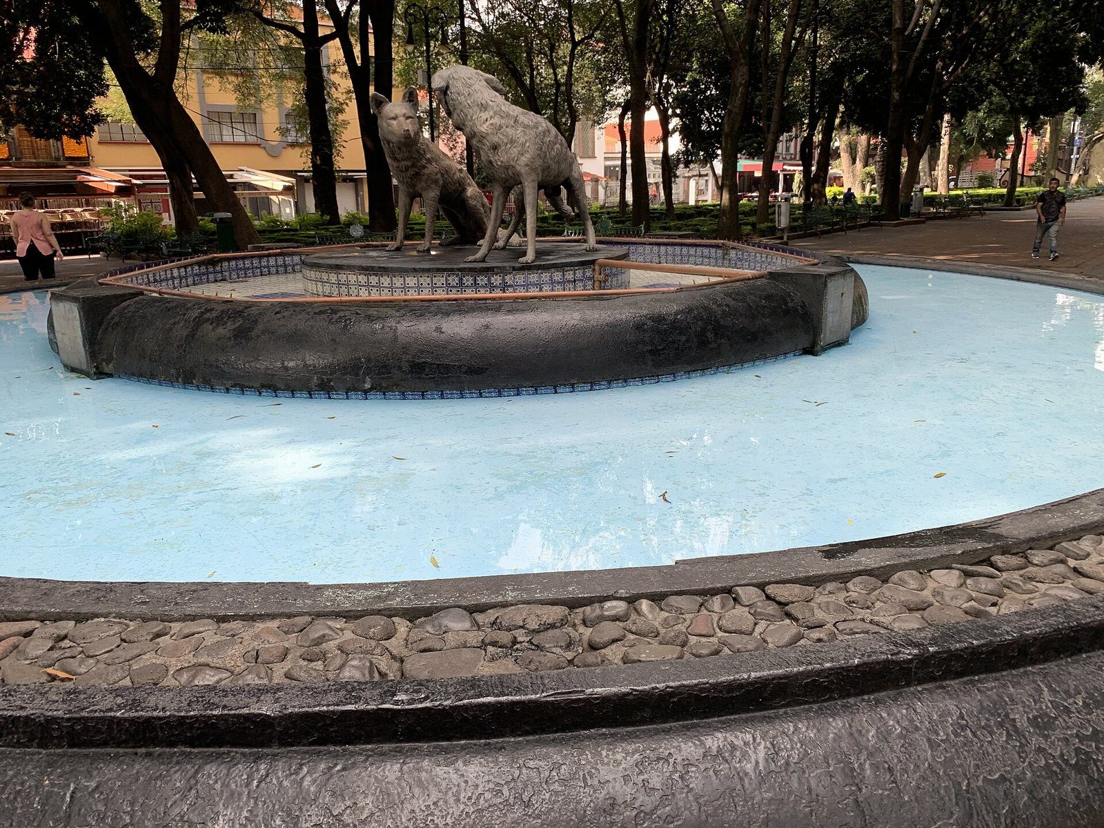 Fuente de los Coyotes con las dos esculturas de coyotes sobre un estanque azul, rodeada de árboles del Jardín Centenario