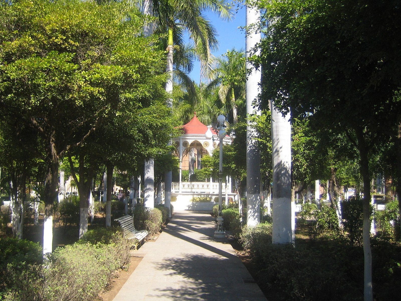 Andador con árboles en la Plaza de Armas de El Fuerte, Sinaloa, con el kiosco de techo rojo al fondo