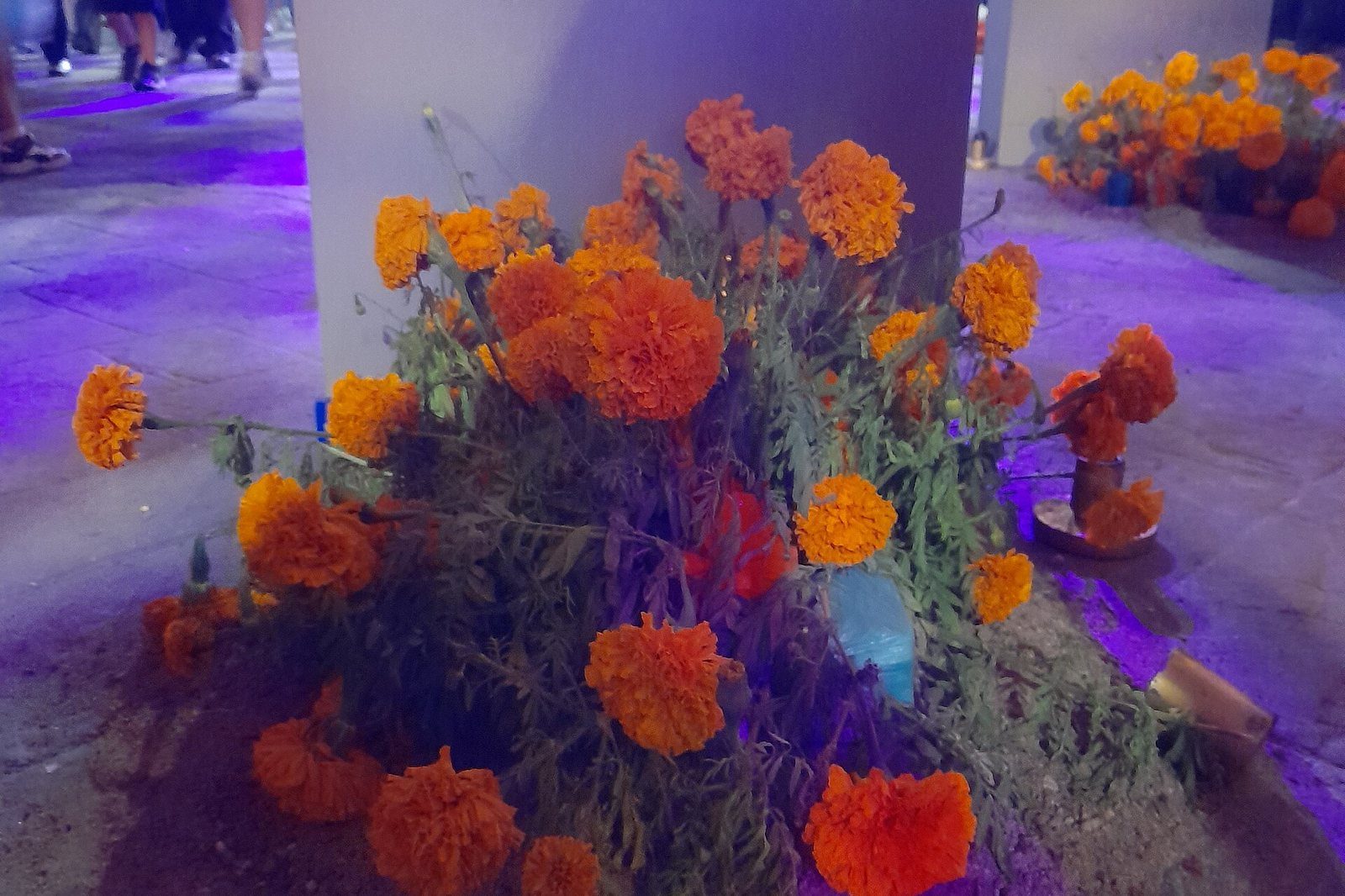 Flores de cempasúchil frente a una instalación del Festival de Calaveras de Aguascalientes, de noche
